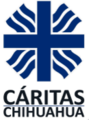 Thumb_caritaschih.logo